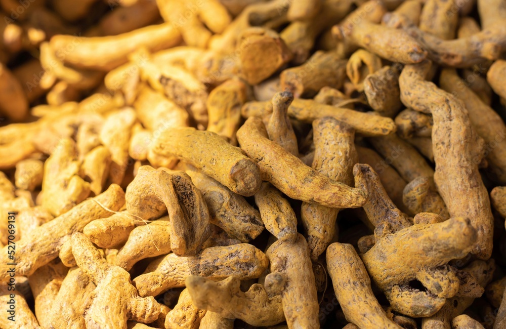 Closeup of Dry Turmeric Root Heap with Selective Focus in Horizontal Orientation Closeup of Dry Turmeric Root Heap with Selective Focus in Horizontal Orientation