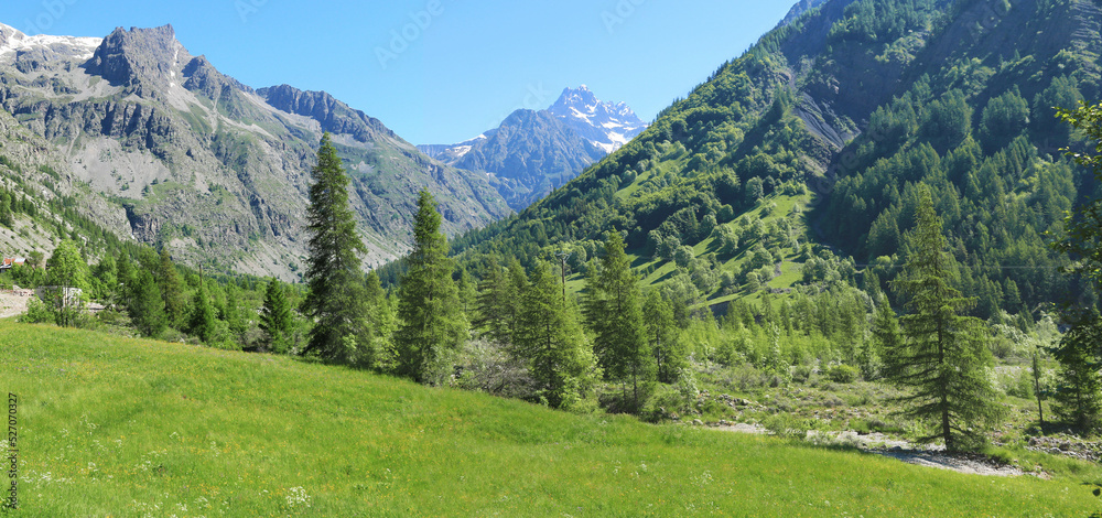 Paysage  verdoyant dans une vallée des  Alpes en été.