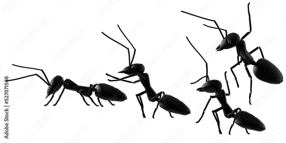 concept work, team of ants