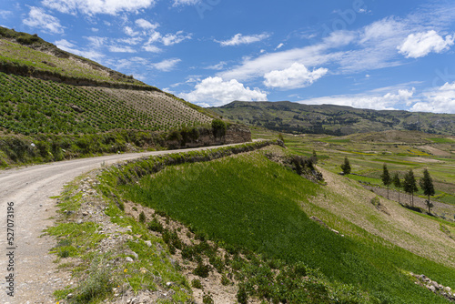 affirmed dirt road typical in the towns in the interior of Peru, these roads connect towns in the Andes of Peru