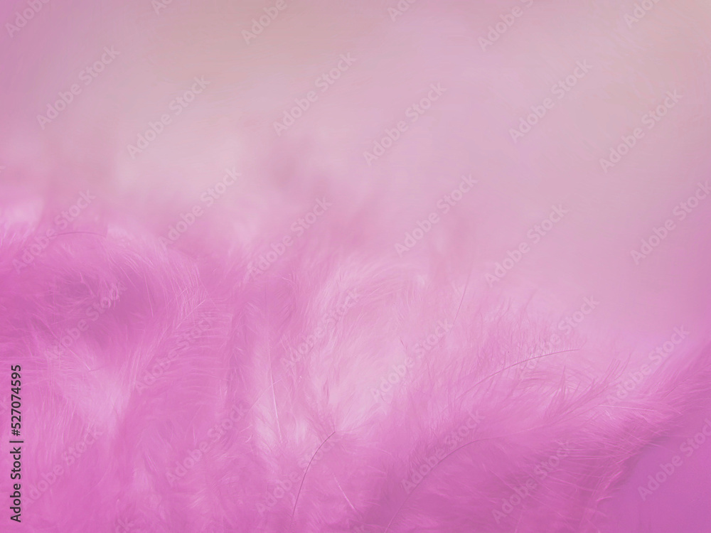blurred abstract textured background delicate pink beautiful feathers blurred abstract textured background delicate pink beautiful feathers