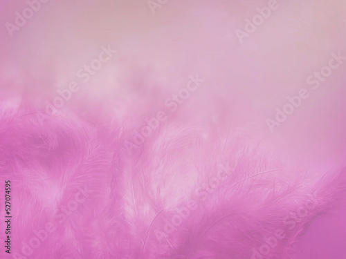 blurred abstract textured background delicate pink beautiful feathers