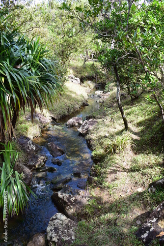 waterfall in the forest
