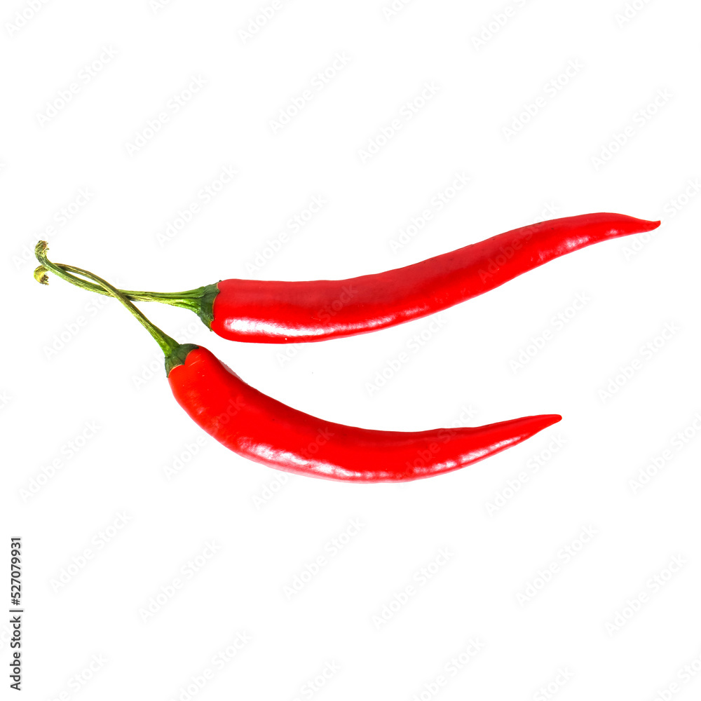 Two fresh juicy red hot chili peppers isolated on a white background. Two fresh juicy red hot chili peppers isolated on a white background.