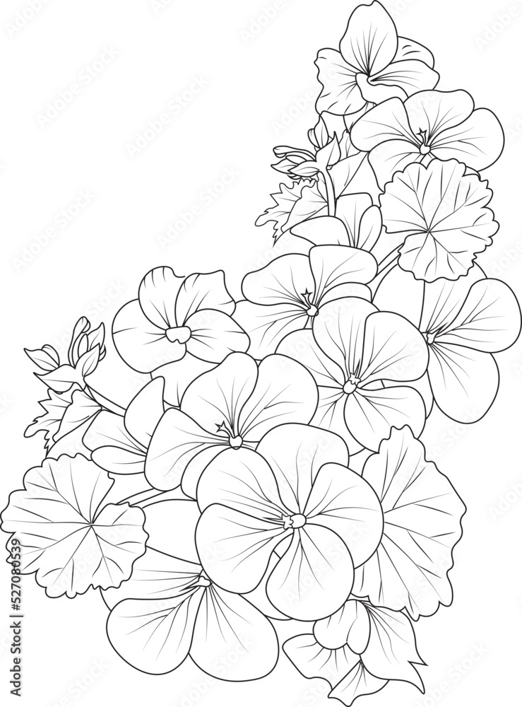 Set of hand drawn stylized outline geranium flower  isolated on white background. Highly detailed vector illustration, botanic leaf branch or buds engraved ink art coloring page for children or adult 