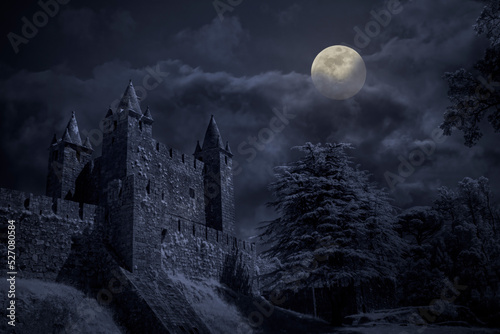 Medieval castle in a full moon night © Zacarias da Mata