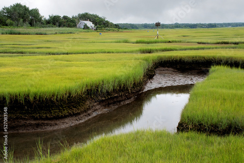 Tranquil Cape Cod coastal scene. View of protected saltwater march and distant osprey bird nest near Grays Beach in Yarmouth Port, Massachusetts.