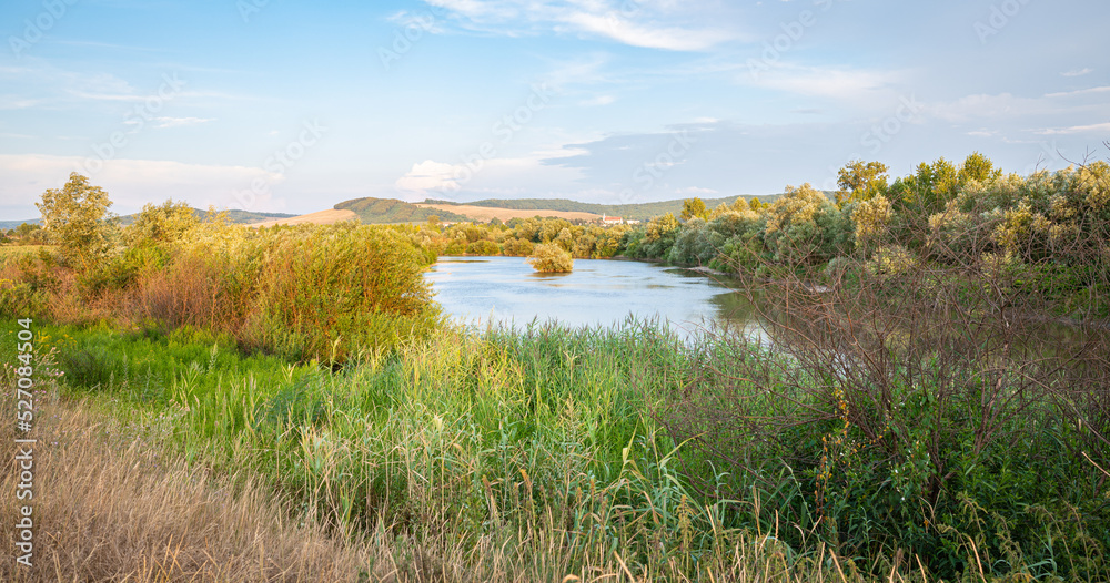 Scenic view of the river Mures in Transylvania, Romania on a sunny evening in summer