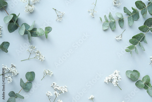 Close up photo of fresh eucalyptus leaves against a neutral blue background. photo