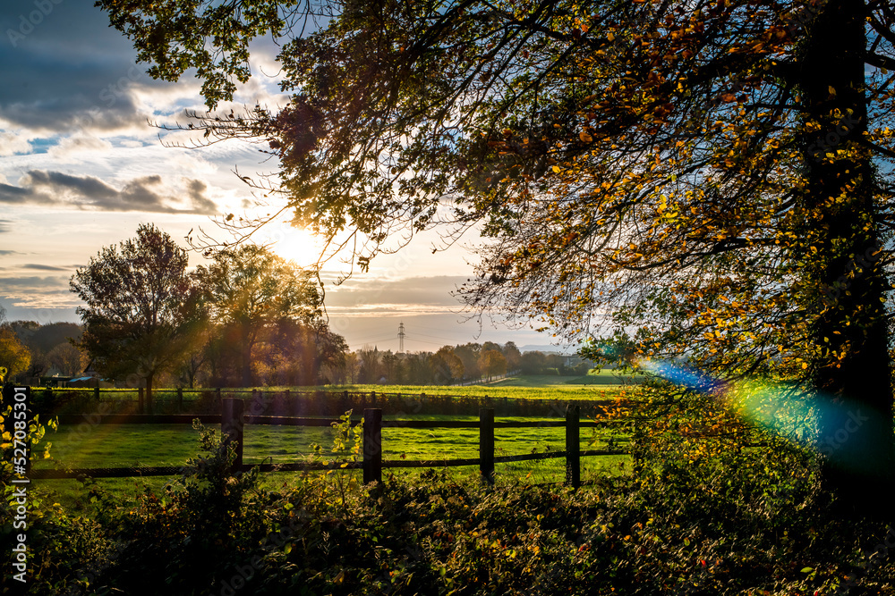 Zwischen dunklen Wolken ragt die aufgehende Sonne hindurch und lässt Baum und Koppel in buntem Licht erstrahlen Zwischen dunklen Wolken ragt die aufgehende Sonne hindurch und lässt Baum und Koppel in buntem Licht erstrahlen