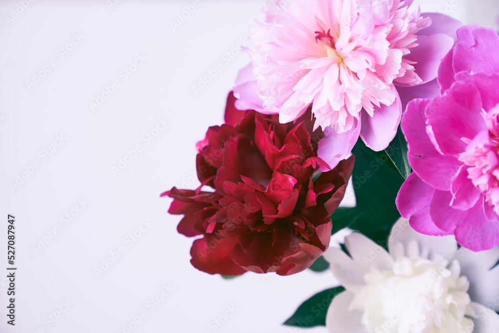 Part of a bouquet of beautiful flowers in close-up with the possibility of copying. A beautiful bouquet of bright pink and burgundy peonies. Wallpaper, greeting card, poster. High quality photo