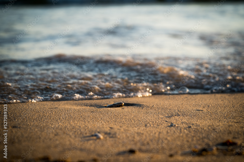 Shore of a beach in Cádiz (Spain) in a summer sunset with reflections of the sun's rays on the wet sand. Shore of a beach in Cádiz (Spain) in a summer sunset with reflections of the sun's rays on the wet sand.