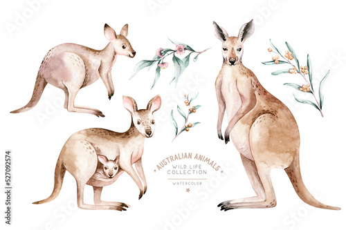 Watercolor australian cartoon kangaroo isolated on white background. Australian kangaroos set kids illustration. Nursery art