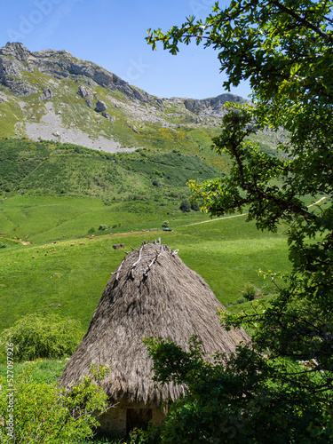 Choza típica rural llamada braña con tejado de ramas en un paisaje verde con árboles y montañas al fondo en verano de 2021.