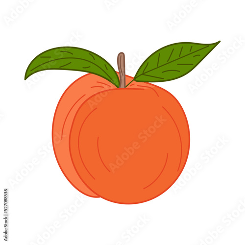 Peach illustration. Peach isolated in white background. Hand drawn vegetarian fruit illustration for menu, label, icon, cover, social post etc