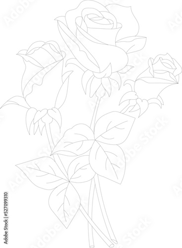 Hand drawn rose coloring page