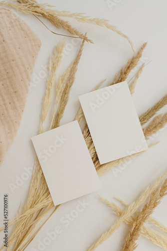 Blank paper sheet cards with mockup copy space, dry pampas grass on white background. Flat lay, top view minimal business brand template