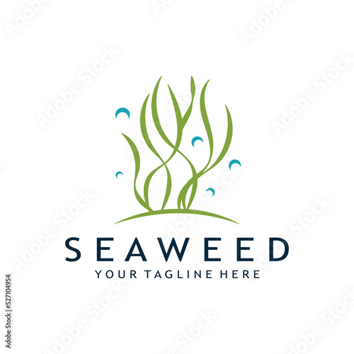 seaweed logo design with vector illustration template