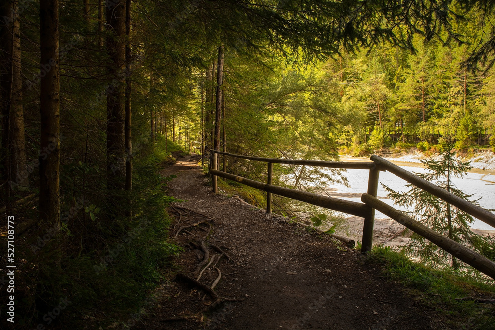 A path through woodland following the path of the Pisnica River near Kranjska Gora in the Upper Carniola region of north west Slovenia
