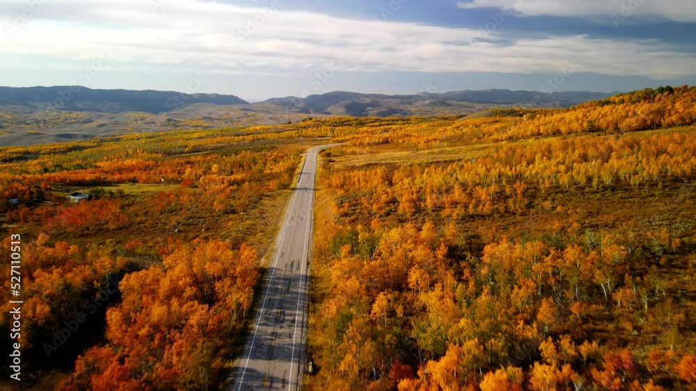 Fall foliage at Monte Cristo overlook in Utah.