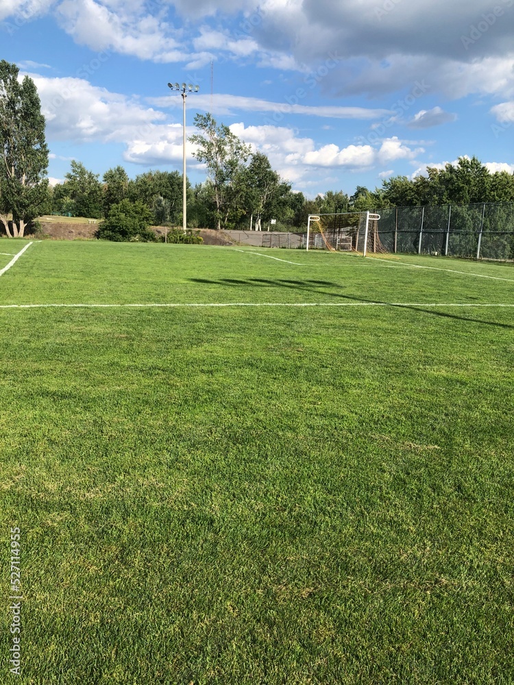 Fototapeta premium football field