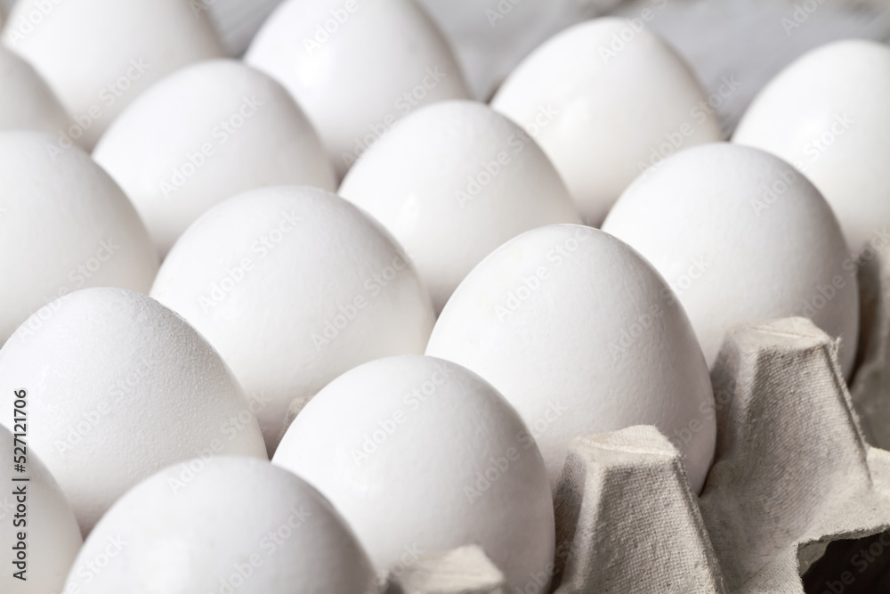 Close-up of Cardboard tray with white chicken eggs Close-up of Cardboard tray with white chicken eggs