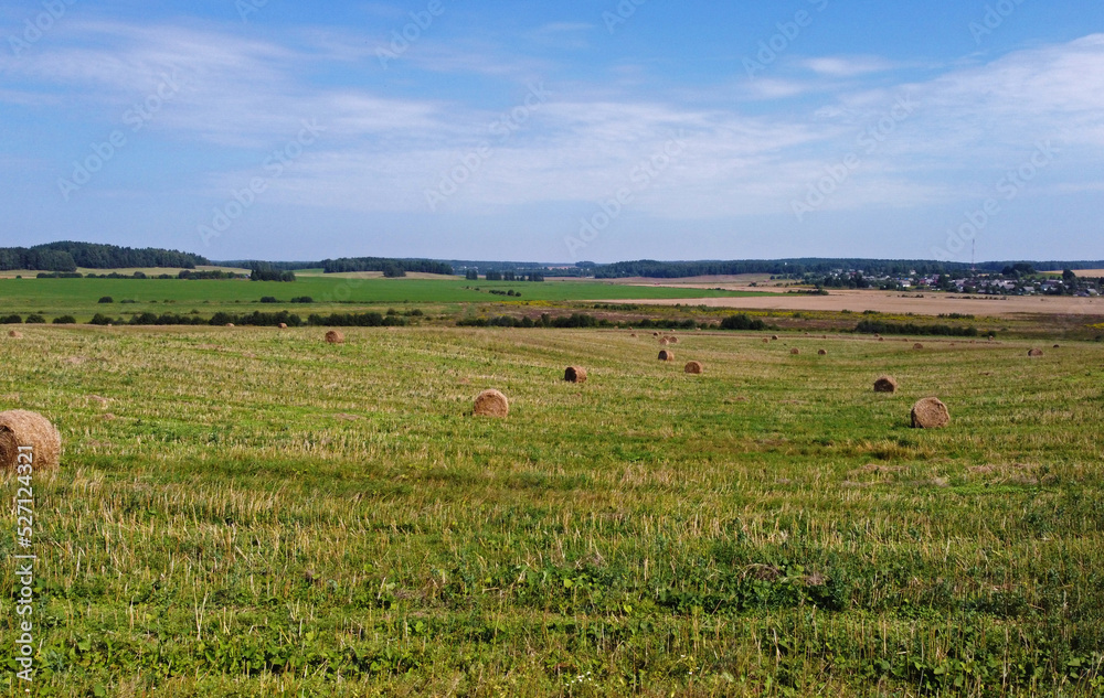 Fototapeta premium Aerial view of agro fields with harvesting and haystacks