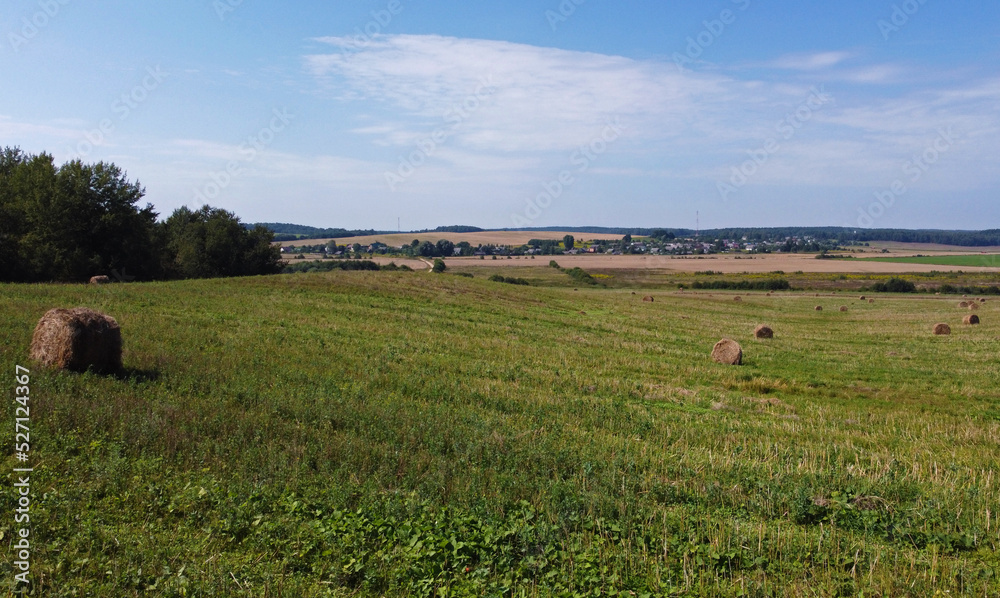 Fototapeta premium Aerial view of agro fields with harvesting and haystacks