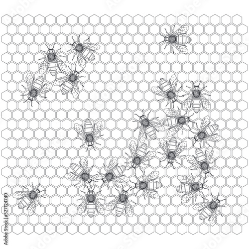 Black and white vector geometrical bees on honeycomb