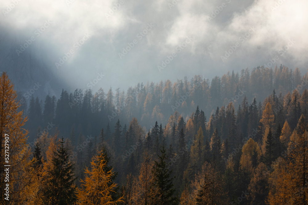 Autumn Season in the Italian Dolomites, Bolzano Italy