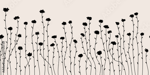 Horizontal seamless botanical border on beige background. Banner or background with monochrome plants in the doodle style. Border, vector illustration.