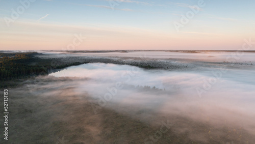 Aerial view over wilderness area with bog wetland and fog clad lake with the dawn colored sky background