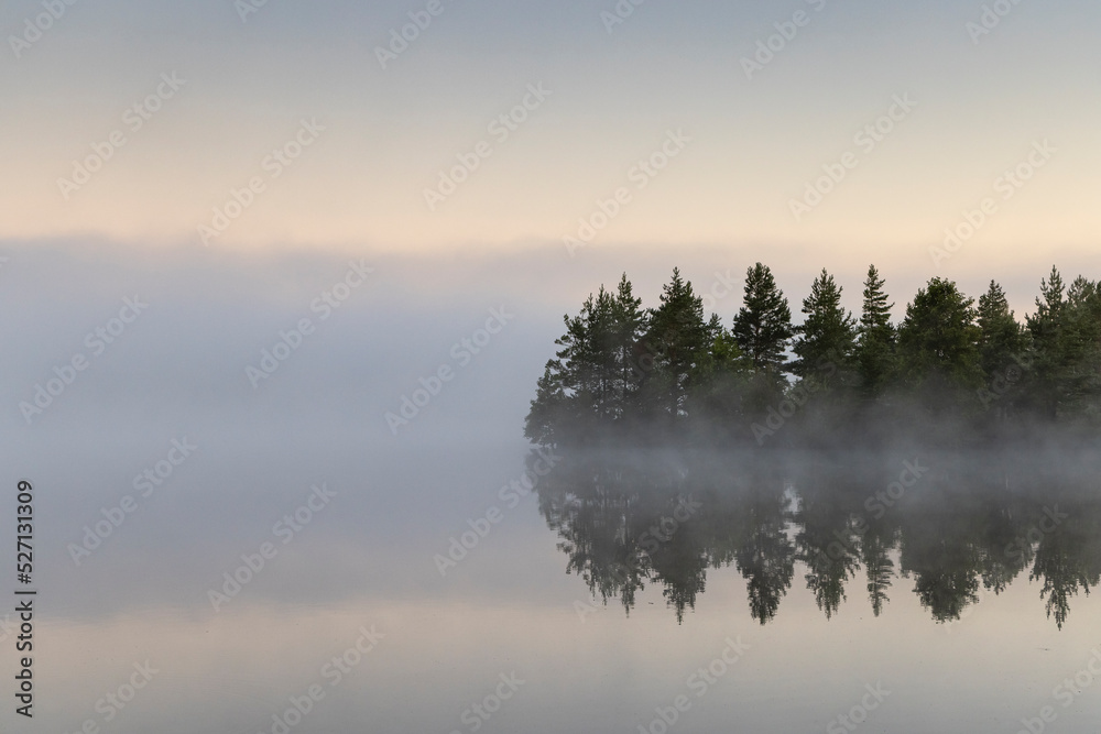 Fototapeta premium Tranquil bog lake with the tree-line reflections and dense fog on the sunrise colored dawn background