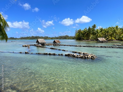 fishing trap