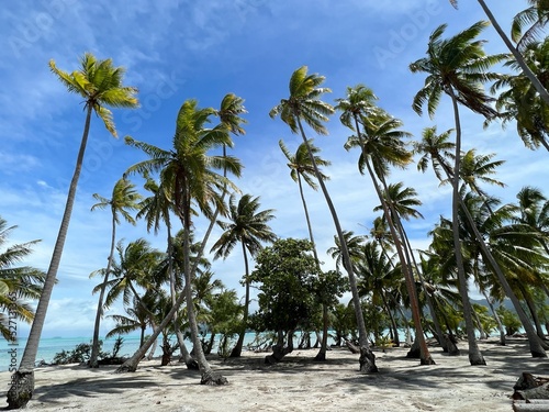 Island escape