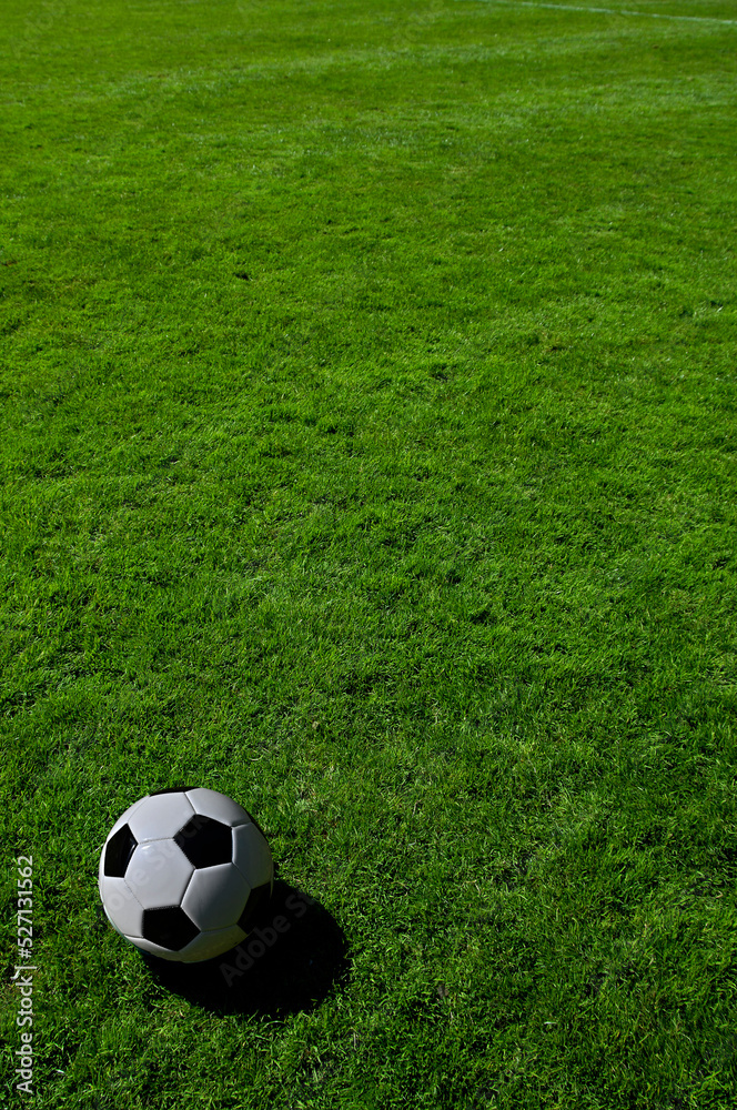 A traditional soccer ball lies on the pitch prior to a game A traditional soccer ball lies on the pitch prior to a game