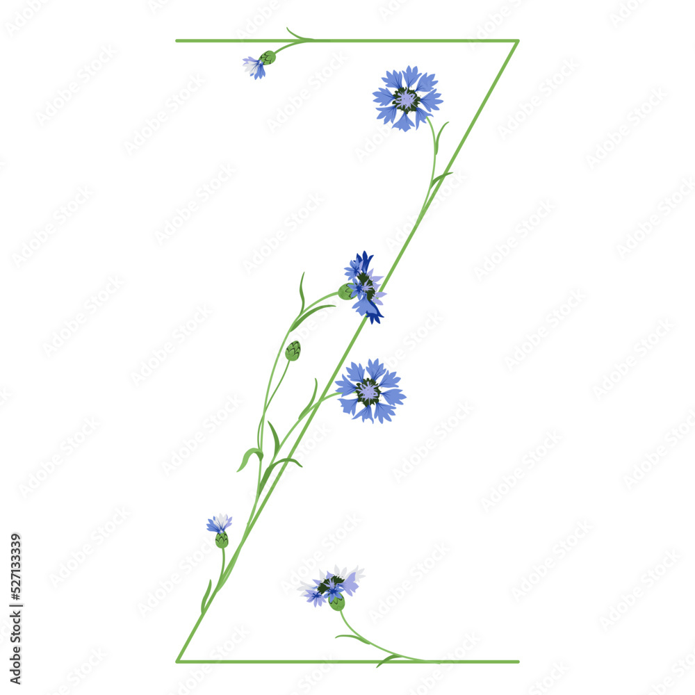 Beautiful letter Z with blooming branches of cornflower or knapweed