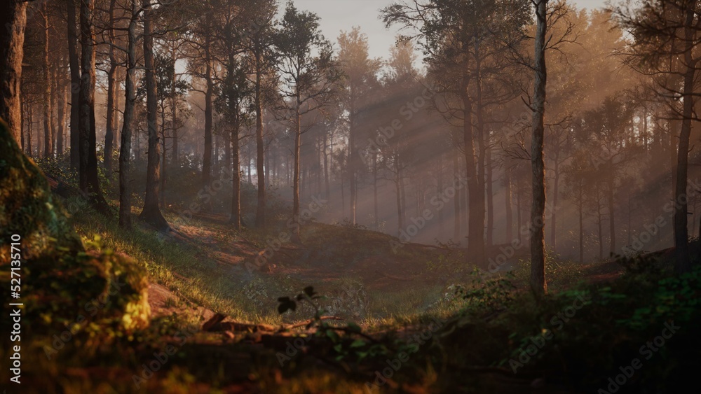 Path through dark magical forest at sunrise, beautiful old trees fantasy landscape, 3d rendering