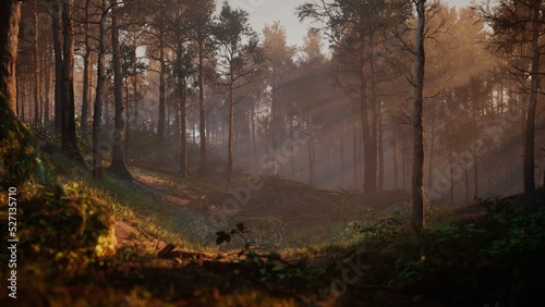 Fototapeta Naklejka Na Ścianę i Meble -  Path through dark magical forest at sunrise, beautiful old trees fantasy landscape, 3d rendering