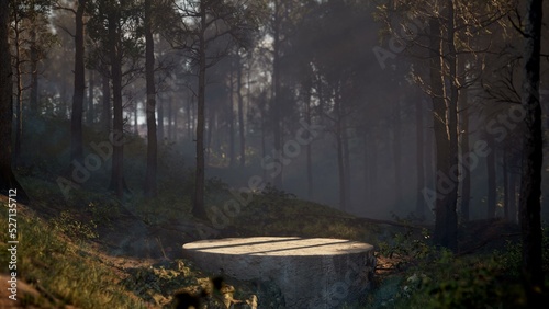 Fototapeta Naklejka Na Ścianę i Meble -  Natural beauty podium backdrop with summer tropical plants. 3d rendering.