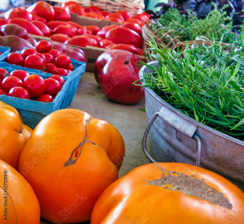 tomatoes in a market photo