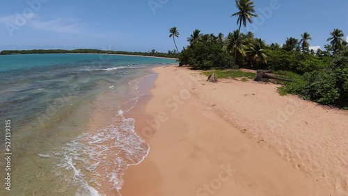 Tropical Caribbean Beach paradise with Green Palm Trees