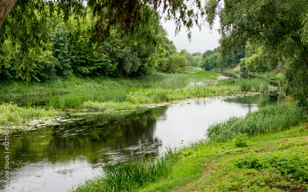 Beautiful colorful summer spring natural landscape with a river by green foliage of trees.