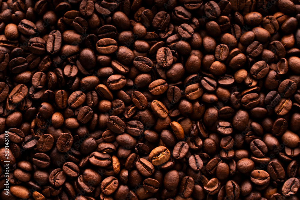 Obraz premium coffee beans macro isolated wide top view