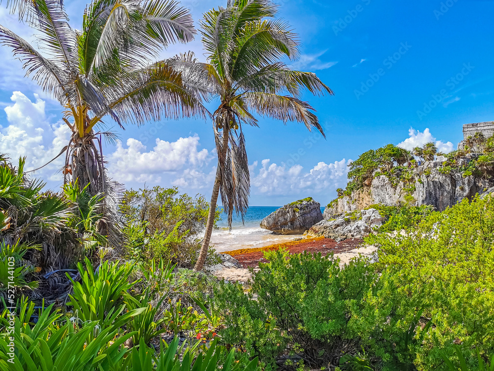 Obraz premium Natural seascape panorama view Tulum ruins Mayan site temple Mexico.