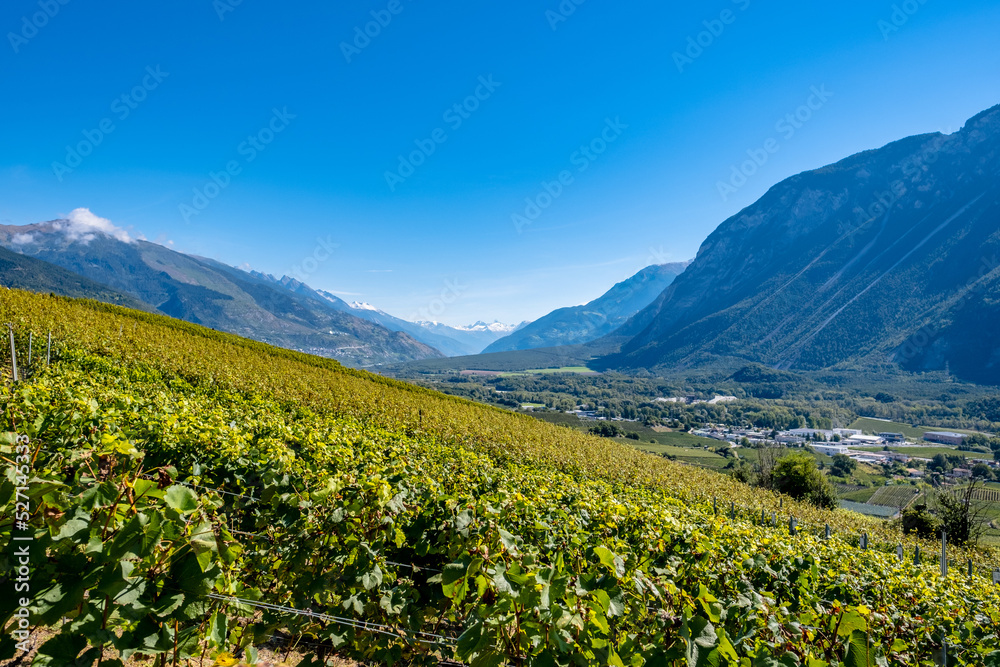 Panoramic view over the vineyards - Miège, Switzerland