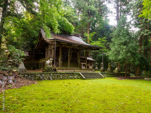 雨上がりの飛鳥川上坐宇須多岐比売命神社の風景 photo