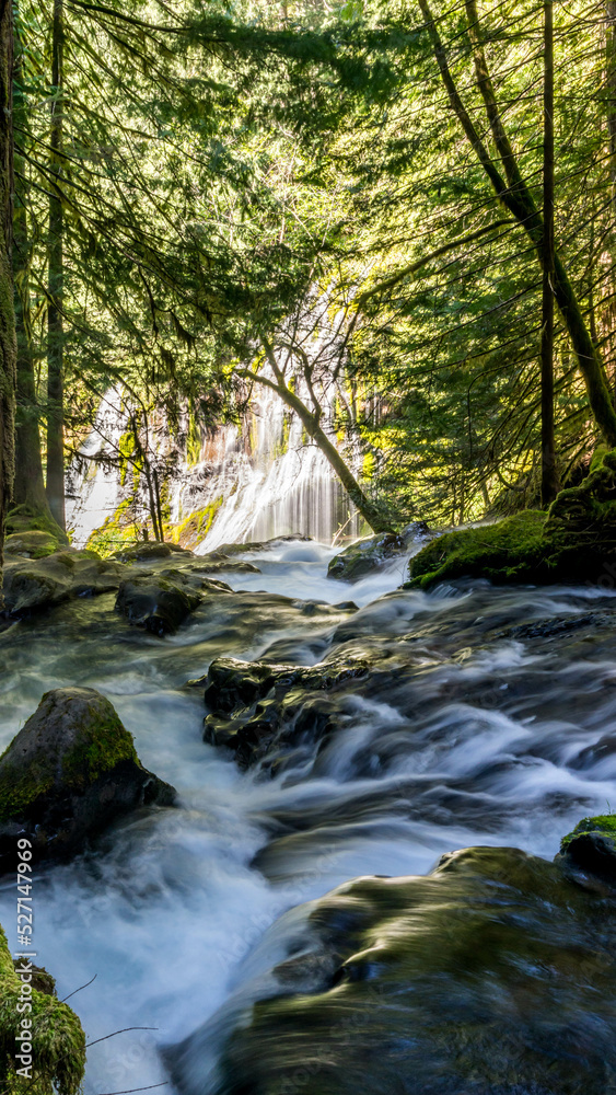 Panther Creek Falls in the Wind River Valley in Skamania County, Washington Panther Creek Falls in the Wind River Valley in Skamania County, Washington