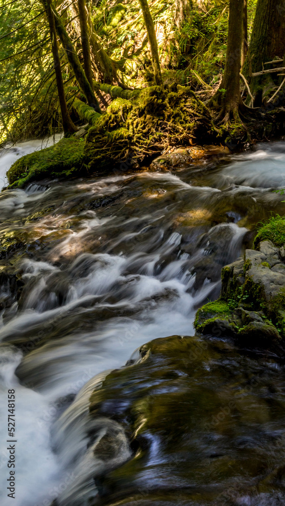 Panther Creek Falls in the Wind River Valley in Skamania County, Washington