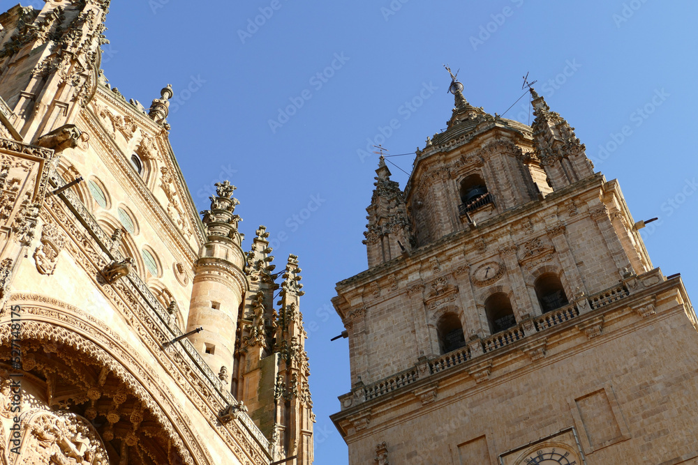 view of the details on the walls of Salamanca Cathedral in Spain